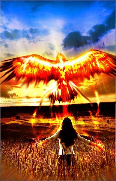 Phoenix Rising From The Ashes Ann Arbor Women S Group